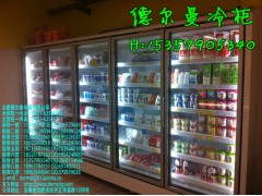 丹東,錦州,營口哪里有賣風(fēng)幕保鮮柜/冰飲料的柜子-- 合肥德爾曼商用設(shè)備公司