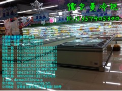 保定,張家口,承德哪里有賣鮮肉保鮮柜/超市冷凍柜的-- 合肥德爾曼商用設(shè)備公司