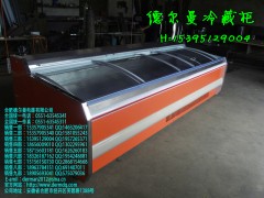 中衛(wèi)哪里有賣海鮮冷藏柜\中衛(wèi)哪里有賣海鮮冷凍柜-- 合肥德爾曼商用設(shè)備公司