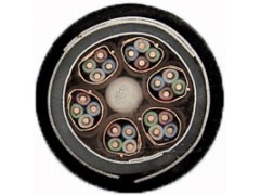 供應合肥鋁護套、綜合護套鐵路計軸電纜 （可出口）-- 綠寶電纜(集團)有限公司