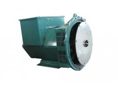 江蘇純銅無刷發(fā)電機(jī)廠家領(lǐng)馭電機(jī)最專業(yè)-- 江蘇領(lǐng)馭電機(jī)有限公司