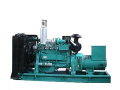 領馭牌濰柴斯太爾柴油發電機組-- 江蘇領馭電機有限公司