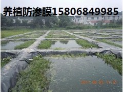 十大黑色國標防滲膜品牌陵縣華龍化纖性價比最高-- 陵縣華龍化纖有限公司