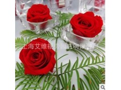 保鮮花技術永生花技術轉讓-常青藤-- 上海艾維福勞園藝有限公司
