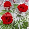 保鮮花技術(shù)永生花技術(shù)轉(zhuǎn)讓-常青藤