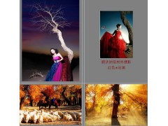額濟納胡楊林戶外旅游攝影團,露營篝火?？妥顚I-- 安徽海客拓展培訓服務有限公司