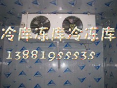 達州冷庫.達州凍庫,達州冷凍庫.達州冷藏庫-- 四川嘉信制冷設備有限公司冷庫