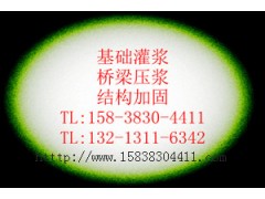瑞米加固1號|瑞米加固2號-- 北京中德新亞建筑技術有限公司