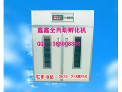鑫鑫江蘇孵化機連云港孵化機www.xinxinfuhua.com-- 山東鑫鑫孵化設備廠