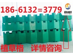 北京植草格-- 泰安綠標(biāo)建材有限公司