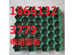 秦皇島植草格-- 泰安綠標(biāo)建材有限公司