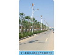 風(fēng)光互補(bǔ)路燈，風(fēng)光互補(bǔ)系統(tǒng)，垂直軸，磁懸浮，300W小型風(fēng)力發(fā)電機(jī)-- 深圳市泰瑪風(fēng)光能源科技有限公司