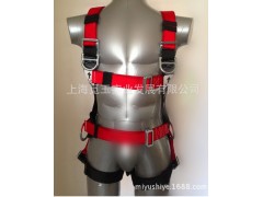 風(fēng)場專用安全帶、五掛點(diǎn)全身一體式護(hù)腰安全帶、安全衣、安全帶-- 上海覓玉實(shí)業(yè)發(fā)展有限公司