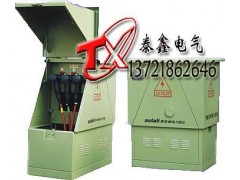 高壓成套設備廠家定制DFW高壓分接箱 美式高壓電纜分接箱-- 河南省泰鑫電氣有限公司