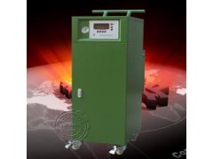 9~90 kw高溫高壓蒸汽清洗機(jī)-- 上海揚(yáng)諾鍋爐制造有限公司廣州分公司