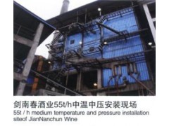 水冷漩渦分離內(nèi)循環(huán)流化床鍋爐-- 鄭州鍋爐股份有限公司