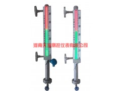 TR- CDS-6  新型磁敏電子雙色液位計(jì)-- 河南天潤測控有限公司
