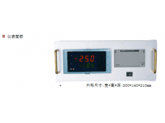 虹潤(rùn)多回路臺(tái)式打印控制儀  NHR-5920-- 福建順昌虹潤(rùn)精密儀器有限公司
