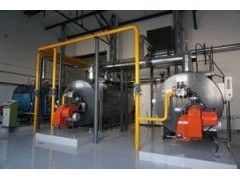 環(huán)保工業(yè)天然氣改造-- 天津悅品新能源科技有限公司