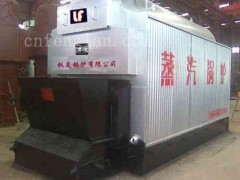 新型DZL水冷拱鏈條爐排鍋爐-- 鄭州楓嵐鍋爐有限公司