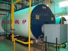 WNS系列燃油燃?xì)獬簾崴仩t-- 鄭州楓嵐鍋爐有限公司