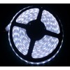 高性價(jià)比 LED3528不防水燈條 120燈/1