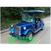 5座豪華電動(dòng)巡邏車