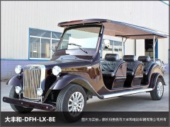 湖南8座電動觀光車-- 湖南大豐合電動車業有限公司