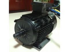電動平車電機,軌道平車電機-- 常州永沛機電技術有限公司