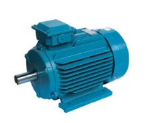 德驅(qū)馳永磁同步電機(jī)-- 上海德驅(qū)馳電氣有限公司