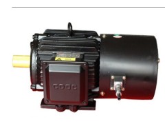 德驅(qū)馳印刷專用變頻電機(jī)-- 上海德驅(qū)馳電氣有限公司