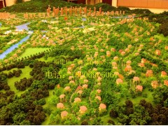 供應福建精工模型來圖定制城市規劃沙盤模型-- 福州精工模型有限公司