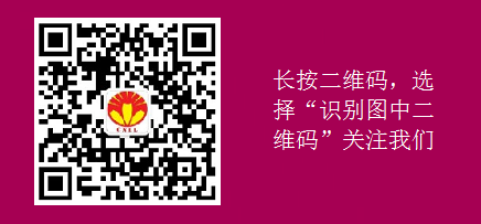 圖片4