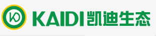 圖片10