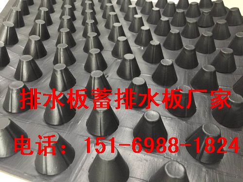 政府推薦山東泰安車庫排水板＞地下室排水板生產廠家-- 泰安市澤瑞土工材料有限公司