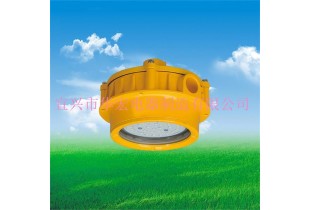 BPC8762 LED防爆平臺(tái)燈 海洋王LED防爆燈