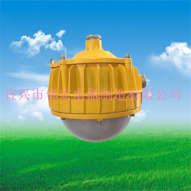 海洋王BPC8766 LED防爆平臺燈 30W 50W