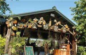 露天酒吧噴霧降溫設(shè)備規(guī)格型號(hào)-- 深圳通寶環(huán)境技術(shù)有限公司