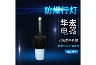 海洋王FW6320 防爆行燈 便攜式移動照明