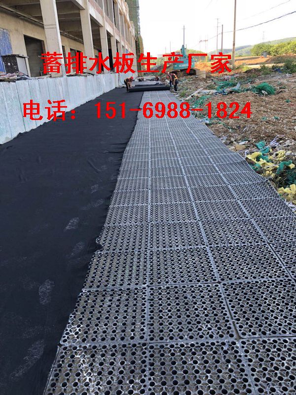 北京\天津30高25高20高50高蓄排水板出廠價格-- 泰安市澤瑞土工材料有限公司