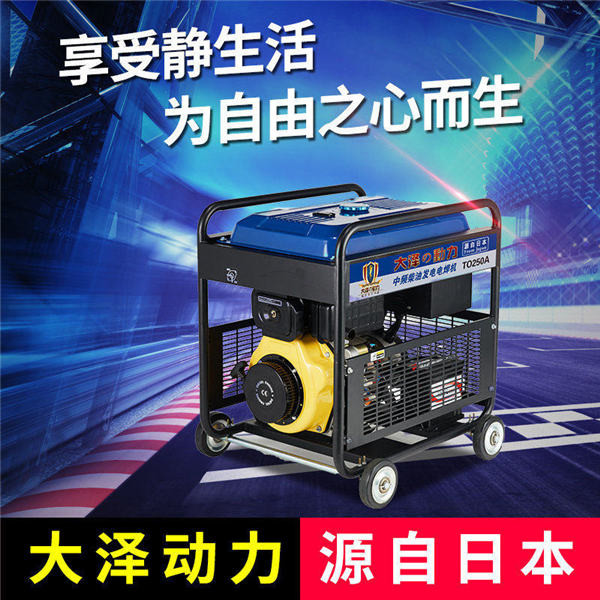 大澤動力250A柴油發電電焊機TO250A-- 上海豹羅實業有限公司