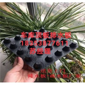 塑料凸片排水板北京2公分車(chē)庫(kù)排水板