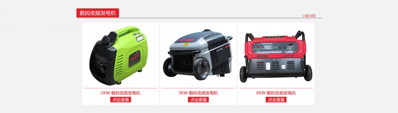大澤動(dòng)力數(shù)碼變頻發(fā)電機(jī)-- 上海仡維實(shí)業(yè)有限子公司