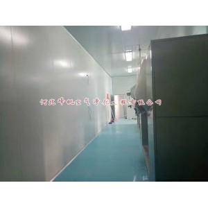 河北十萬級凈化車間食品廠房電子廠房