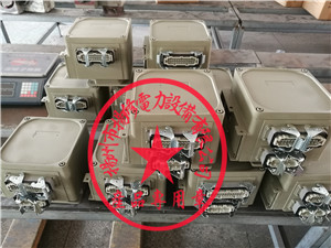 揚(yáng)修執(zhí)行器控制單元型號(hào)2SA3(LK3）/MU/MD等規(guī)格-- 揚(yáng)州市揚(yáng)修電力設(shè)備有限公司