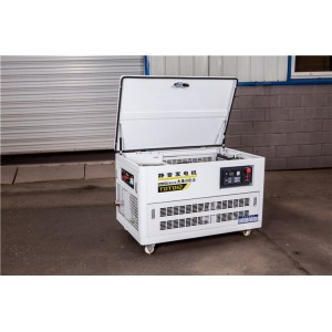 12kw汽油發(fā)電機(jī)型號
