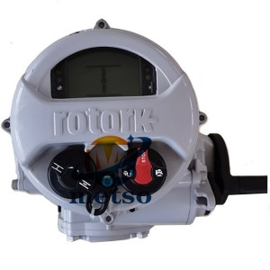羅托克執(zhí)行機(jī)構(gòu) IQT角行程電動執(zhí)行機(jī)